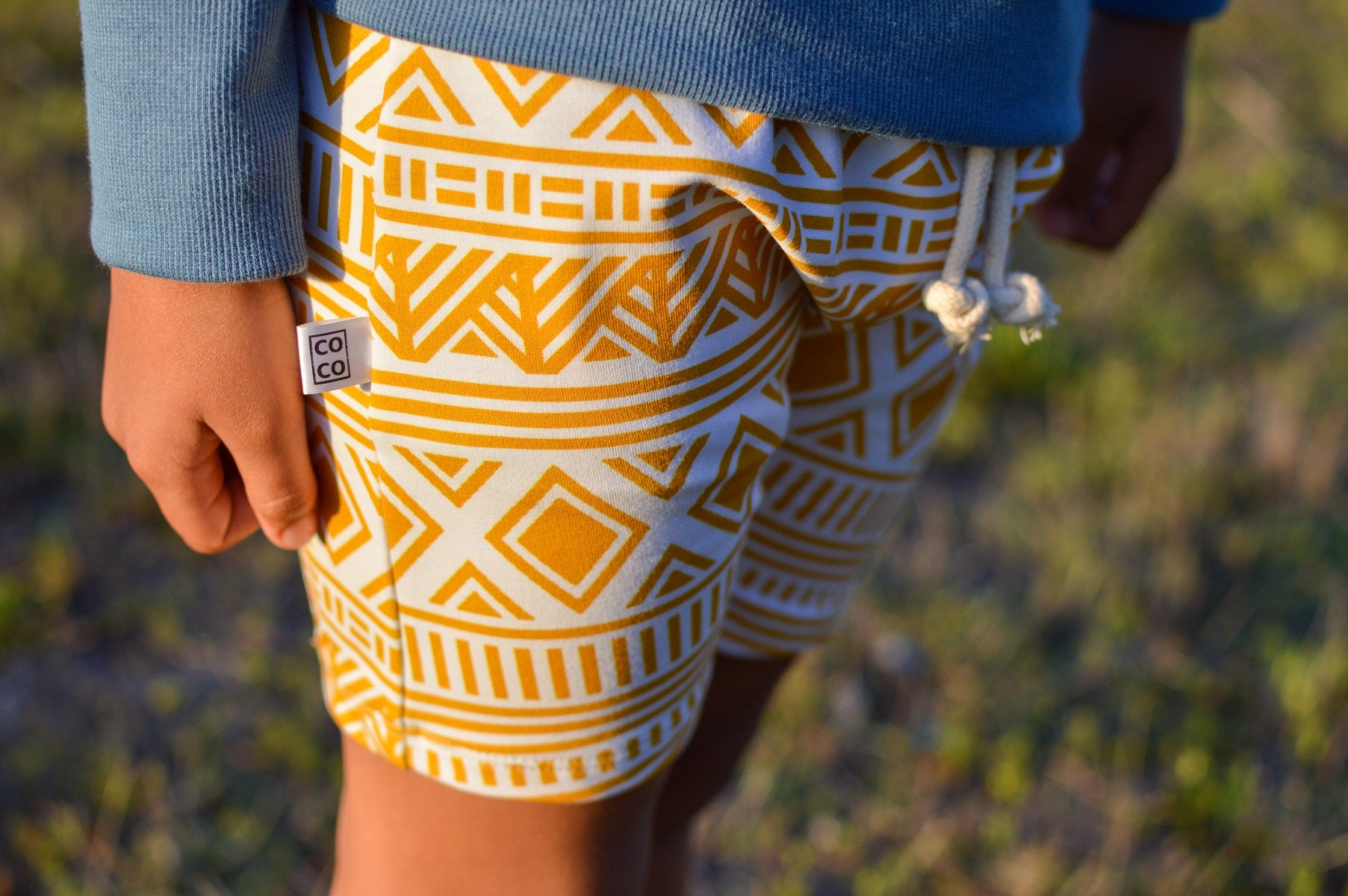 Retro Shorts (Aztec)